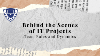Behind the Scenes of IT Projects